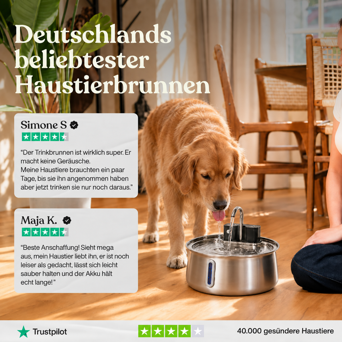 PAWS Origin 3.0