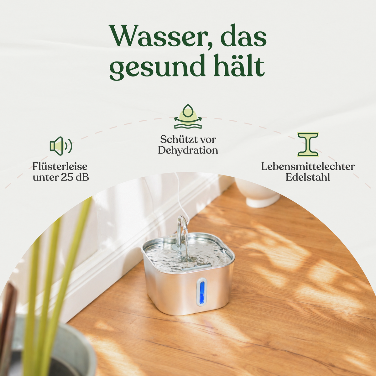 PAWS Flow Mini 2,2L Produktansicht 4