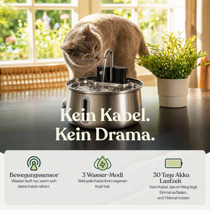 PAWS Flow Mini 2,5L Produktansicht 4