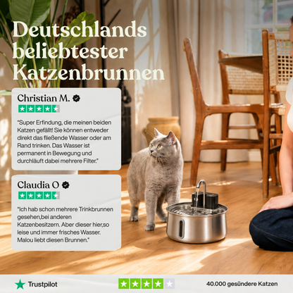 PAWS Flow Mini 2,5L Produktansicht 5